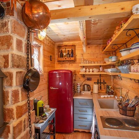 Villa Piccolo Orso Žabljak Extérieur photo