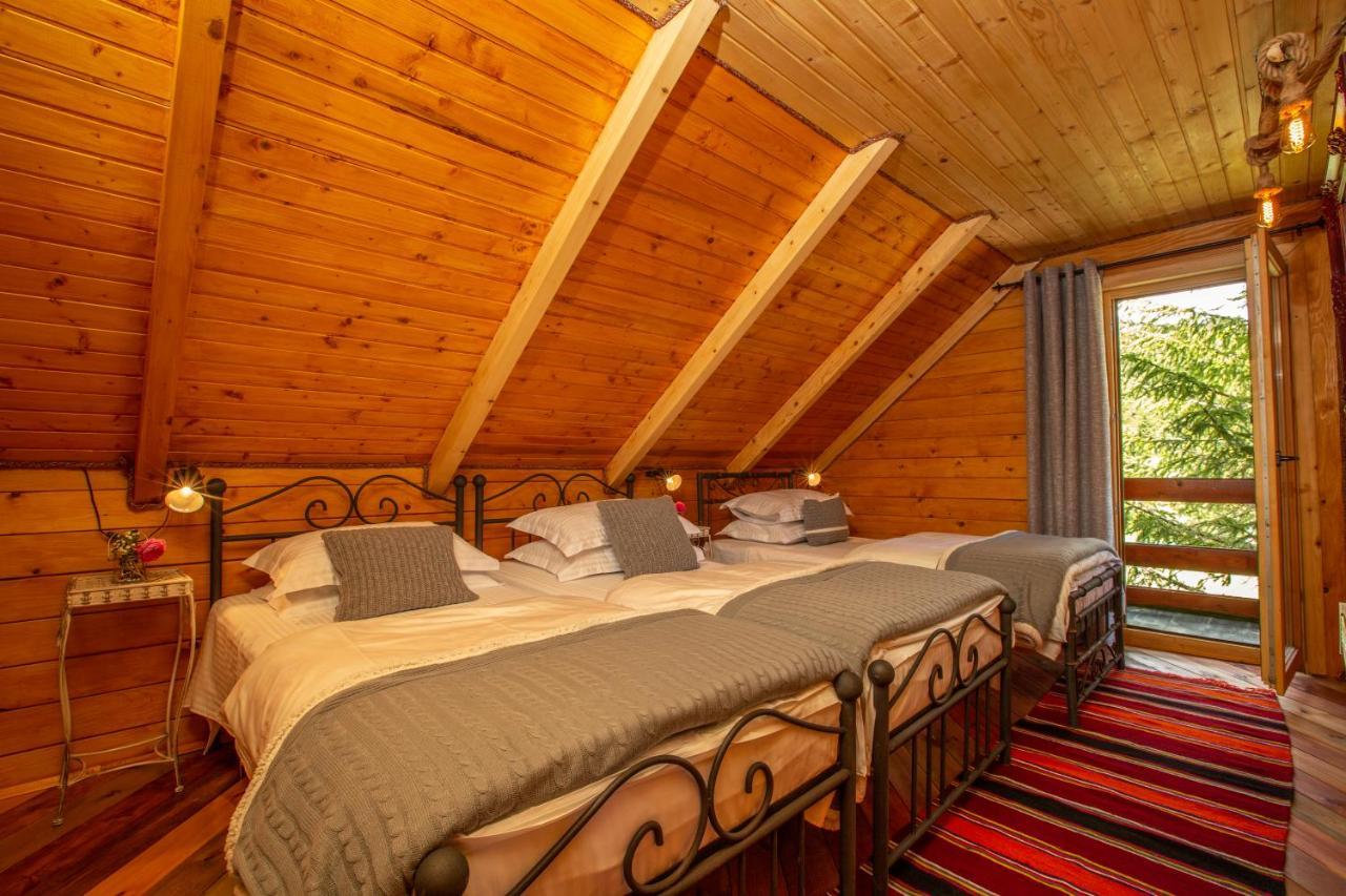 Villa Piccolo Orso Žabljak Extérieur photo
