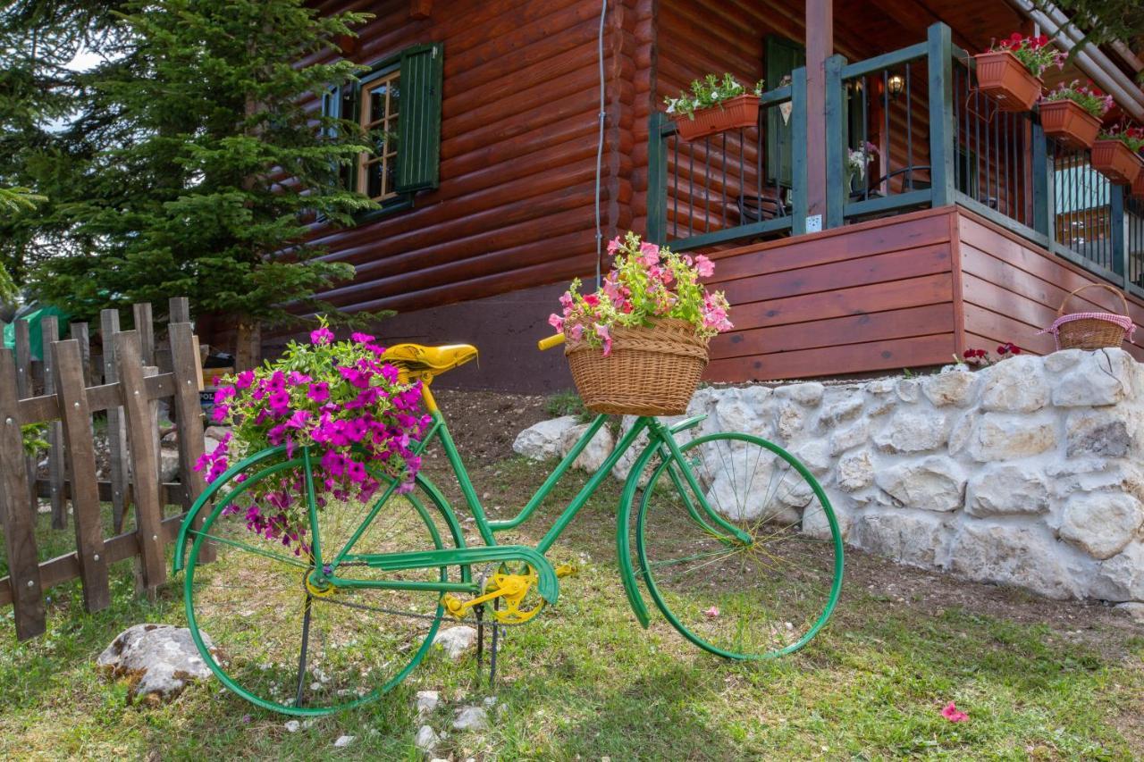 Villa Piccolo Orso Žabljak Extérieur photo