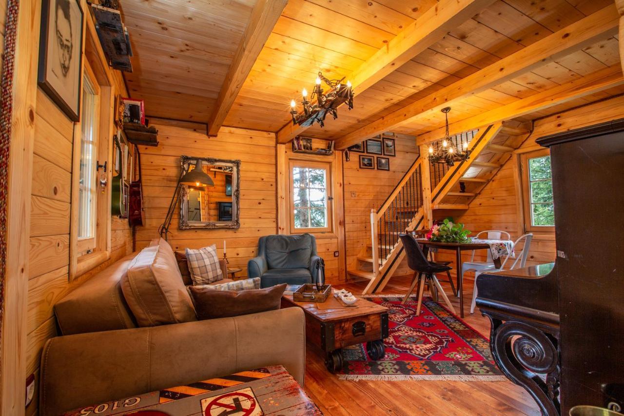 Villa Piccolo Orso Žabljak Extérieur photo
